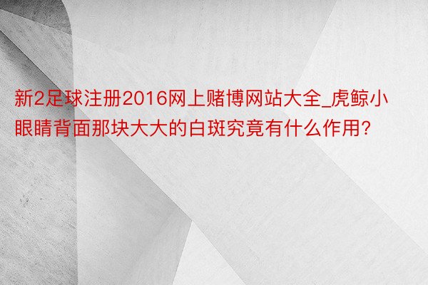 新2足球注册2016网上赌博网站大全_虎鲸小眼睛背面那块大大的白斑究竟有什么作用?