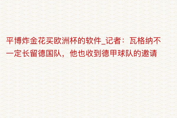 平博炸金花买欧洲杯的软件_记者：瓦格纳不一定长留德国队，他也收到德甲球队的邀请